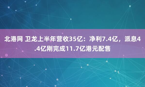 北港网 卫龙上半年营收35亿：净利7.4亿，派息4.4亿刚完成11.7亿港元配售
